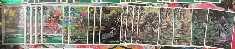 Article about 2024 July EX6 EU Regionals 2nd Leopardmon